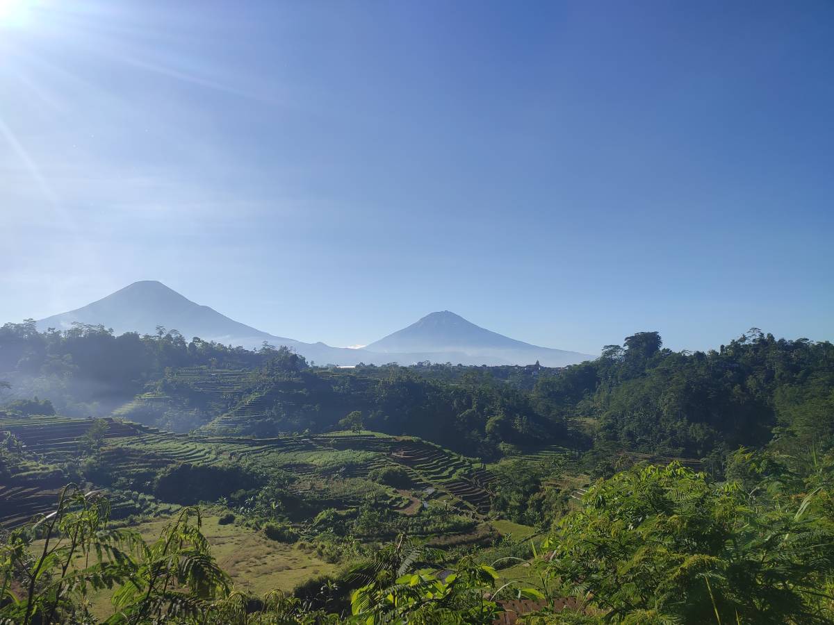 Pemandangan Alam Gunturmadu di Pagi Hari